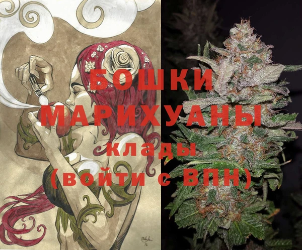 соль ск Липки