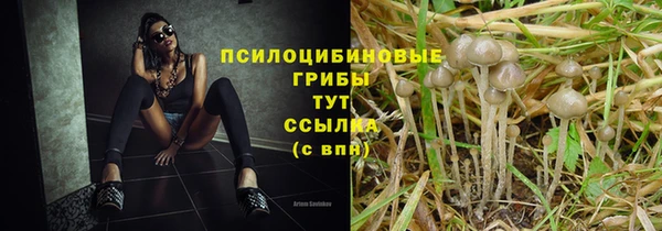 гашишное масло Майский