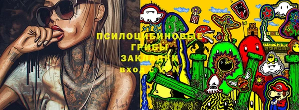 гашик Медвежьегорск